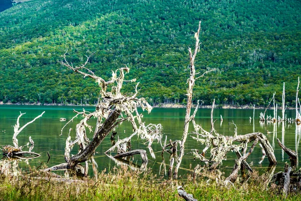 Lake Fangano Tierra Del Fuego — Stock Photo, Image