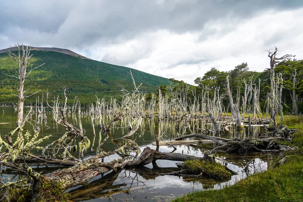 Fanganosjön Tierra Del Fuego — Stockfoto