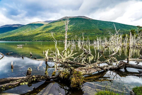 Fanganosjön Tierra Del Fuego — Stockfoto