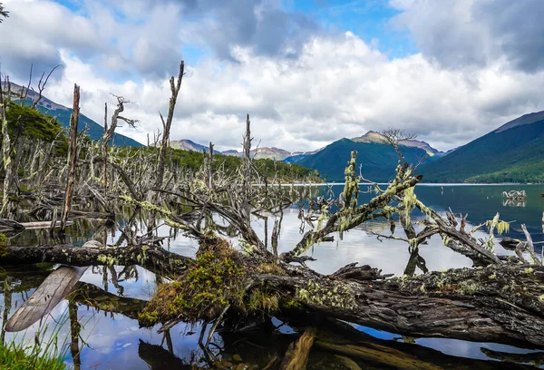 Lago Fangano Tierra Del Fuego — Fotografia de Stock