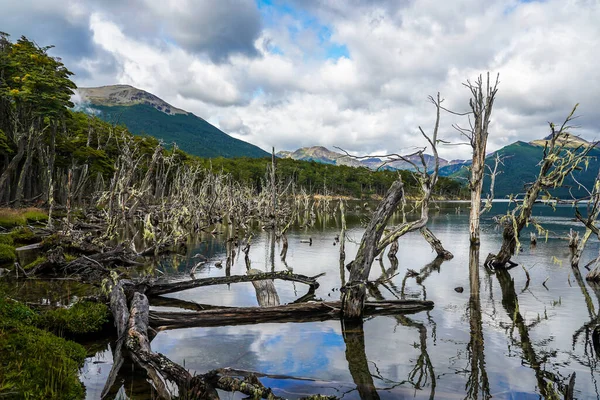 Lago Fangano Tierra Del Fuego — Fotografia de Stock