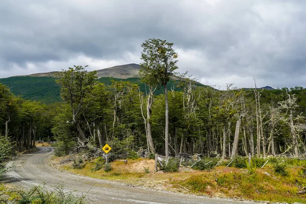 Trasa Lokalna Tierra Del Fuego Argentyna — Zdjęcie stockowe