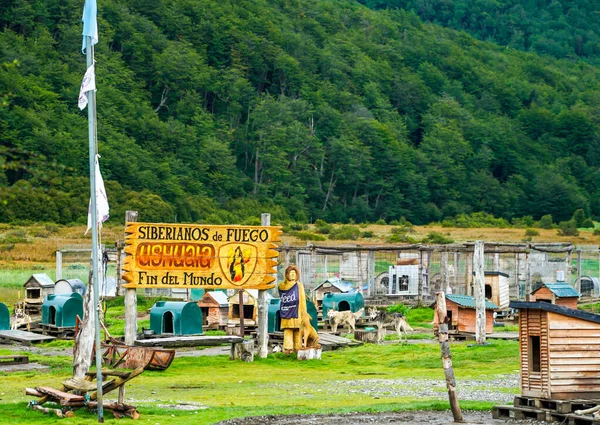 Ushuaia Argentina February 2020 Musher Camp Siberianos Fuego Argentinian Patagonia — стокове фото