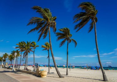 Güney Florida 'daki Hollywood Plajı. Plaj boyunca uzanan palmiye ağaçları ve tatil beldeleri Broward County 'de popüler bir turizm beldesi.