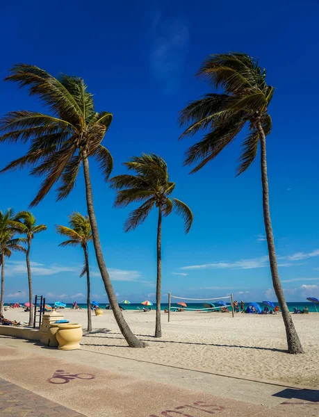 Hollywood Beach Sur Florida Paseo Marítimo Largo Playa Bordeado Palmeras — Foto de Stock