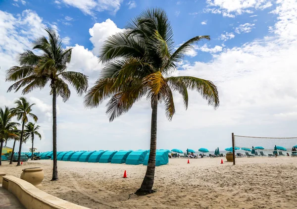 Hollywood Beach Sul Flórida Passeio Longo Praia Forrado Com Palmeiras — Fotografia de Stock