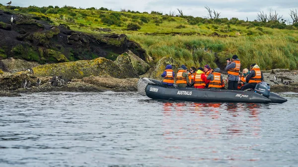 Tuckers Islets Chile February 2020 Tourists Watching Magellanic Penguins Tuckers — Stock Photo, Image