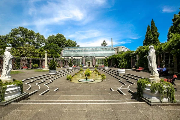 Auckland New Zealand Styczeń 2019 Auckland Domain Wintergardens Jest Zarejestrowany — Zdjęcie stockowe