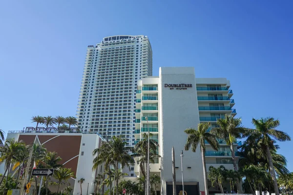 Spiaggia Legno Santo Florida Gennaio 2020 Doubletree Resort Hilton Hollywood — Foto Stock