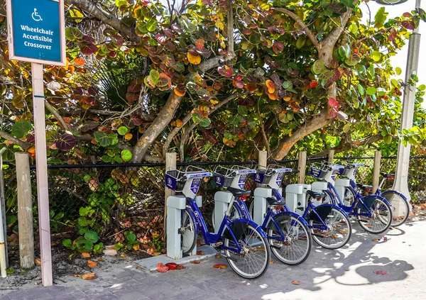 ハリウッドビーチ フロリダ州 2020年1月29日 南フロリダのハリウッドビーチブロードウォークにあるブラワードBcycle駅 Bcycleは自転車シェアプログラムです — ストック写真