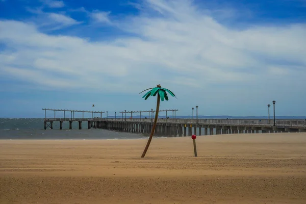 Brooklyn New York Mai 2020 Pat Auletta Steeplechase Pier Coney — Photo