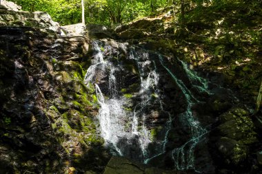 Ramapo Vadisi Bölgesi, New Jersey 'de Şelale