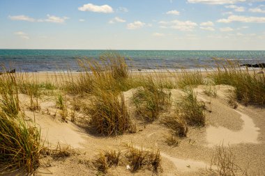 Atlantik sahilinde kum tepeleri ve dalgalar