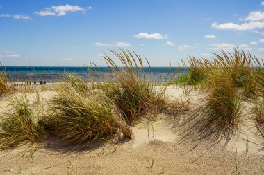 Atlantik sahilinde kum tepeleri ve dalgalar