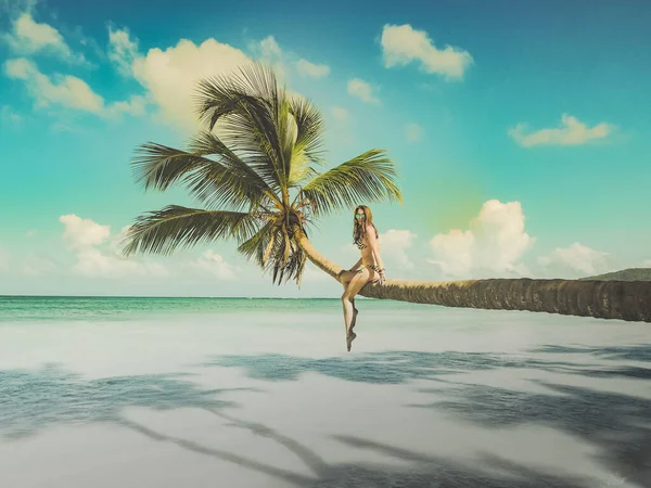 Jovem Mulher Despreocupada Sentado Palmeira Praia Tropical — Fotografia de Stock