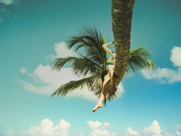 Jovem Mulher Despreocupada Sentado Palmeira Praia Tropical — Fotografia de Stock