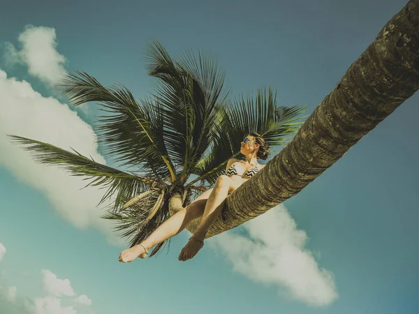 Jovem Mulher Despreocupada Sentado Palmeira Praia Tropical — Fotografia de Stock