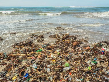 Bali 'de plajda plastik şişeler ve çöp.