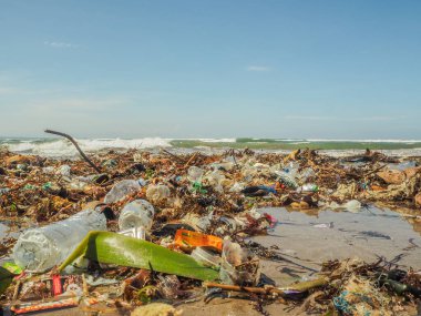 Bali 'de plajda plastik şişeler ve çöp.