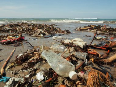 Bali 'de plajda plastik şişeler ve çöp.