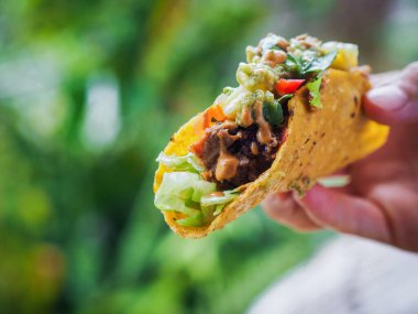 Sağlıklı vejetaryen meyveli taco.