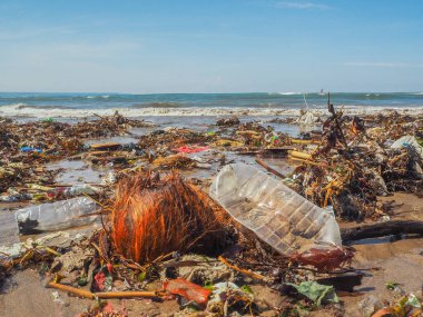 Bali 'de plajda plastik şişeler ve çöp.
