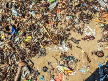 Bali 'de plajda plastik şişeler ve çöp.