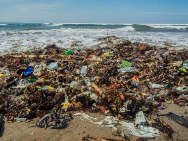 Bali 'de plajda plastik şişeler ve çöp.