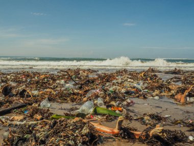 Bali 'de plajda plastik şişeler ve çöp.