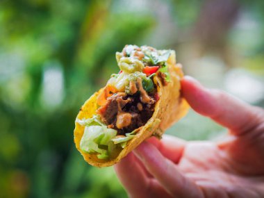 Sağlıklı vejetaryen meyveli taco.