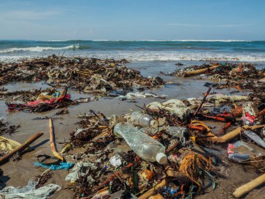 Bali 'de plajda plastik şişeler ve çöp.