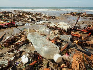 Bali 'de plajda plastik şişeler ve çöp.