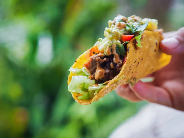 Sağlıklı vejetaryen meyveli taco.