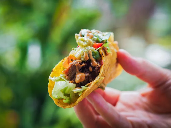 Taco Jaca Vegana Saludable Mano — Foto de Stock