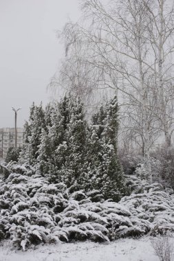 Kar kış manzara. Donmuş orman. Şehirler, Şubat ayında eteklerinde.