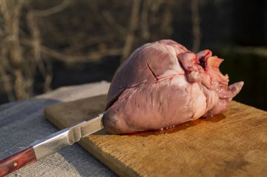 Kalpler ezilen memeliler. Hayvan katliamı. Geçen gün domuz. Bir domuz eti. Kardiyoloji cloven-hoofed hayvanlar.