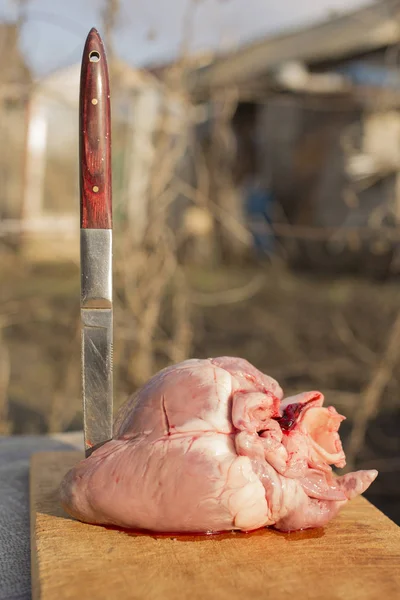 Hjärtan Förtryckta Däggdjur Slakt Djur Den Sista Dagen Gris Kött — Stockfoto