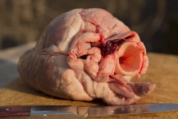 Corazones Mamíferos Oprimidos Matanza Animales Último Día Del Cerdo Carne —  Fotos de Stock
