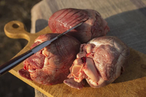 Herzen Unterdrückter Säugetiere Schlachtung Von Tieren Der Letzte Tag Des — Stockfoto