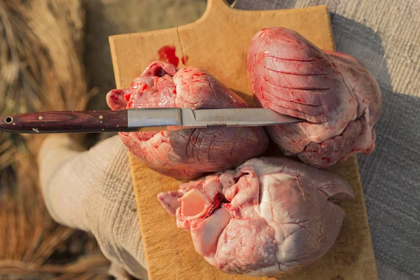 被压迫的哺乳动物的心脏 屠宰动物 猪的最后一天 猪的肉 心脏科偶蹄动物 — 图库照片