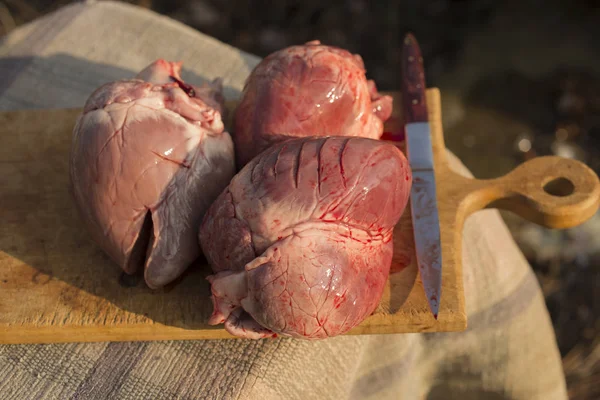 Herzen Unterdrückter Säugetiere Schlachtung Von Tieren Der Letzte Tag Des — Stockfoto