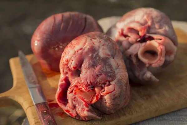 Herzen Unterdrückter Säugetiere Schlachtung Von Tieren Der Letzte Tag Des — Stockfoto