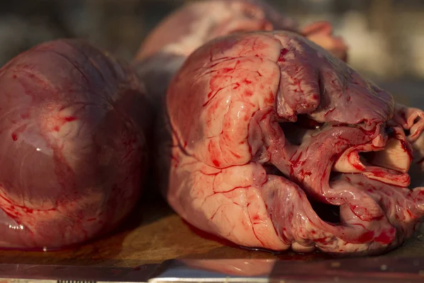 Corazones Mamíferos Oprimidos Matanza Animales Último Día Del Cerdo Carne —  Fotos de Stock