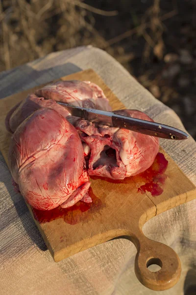 Herzen Unterdrückter Säugetiere Schlachtung Von Tieren Der Letzte Tag Des — Stockfoto