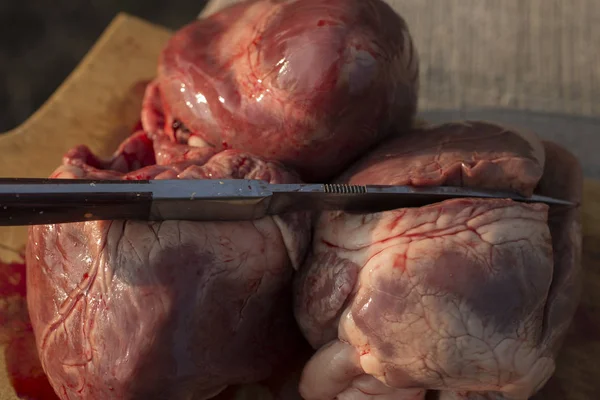 虐げられた哺乳類の心 動物の虐殺 豚の最後の日 豚の肉 循環器偶蹄類の動物 — ストック写真