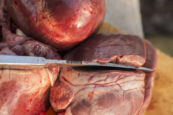 Corazones Mamíferos Oprimidos Matanza Animales Último Día Del Cerdo Carne —  Fotos de Stock