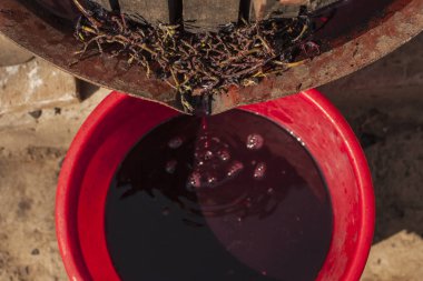 Wine-making. Technology of wine production. The folk tradition of making wine. Wine production in Moldova. The ancient tradition of grape processing. The squeezer is used to press the wine. clipart