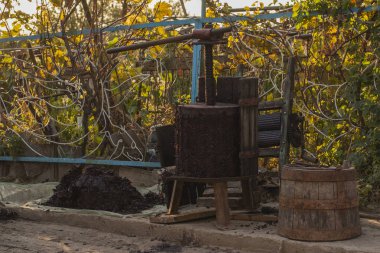 Şarap yapma. Şarap üretim teknolojisi. Şarap yapma halk geleneği. Moldova şarap üretimi. Üzüm işleme eski geleneği. Sıkacağı şarap basın için kullanılır.