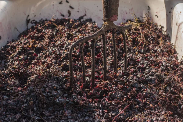 Elaboración Vino Tecnología Producción Vino Tradición Popular Hacer Vino Producción —  Fotos de Stock