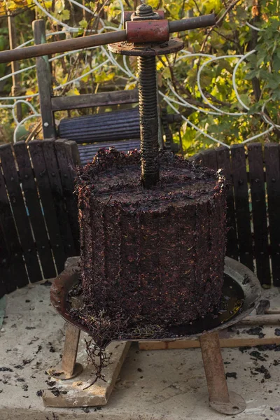 Elaboración Vino Tecnología Producción Vino Tradición Popular Hacer Vino Producción — Foto de Stock